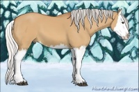 Horse Color:Silver Bay Dun Splash 