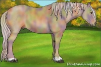 Horse Color:Nacre Palomino 