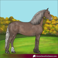 Horse Color:Silver Black Sabino 