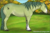 Horse Color:Watercolor Liver Chestnut 