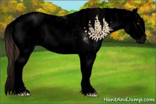 Horse Color:Void Classic Cream Champagne Dun Sabino Splash 