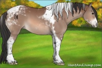 Horse Color:Bay Tobiano 