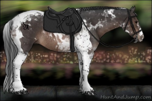 Horse Color:Brown Tobiano Rabicano