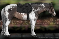 Horse Color:Brown Tobiano Rabicano 