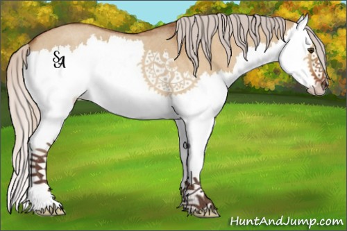 Horse Color:Silver Buckskin Roan Dun Splash 