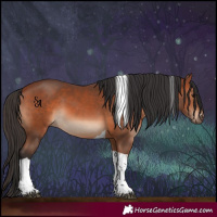 Horse Color:Bay Tobiano 