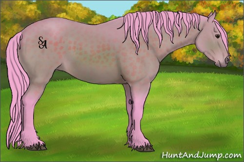 Horse Color:Watercolor Buckskin 