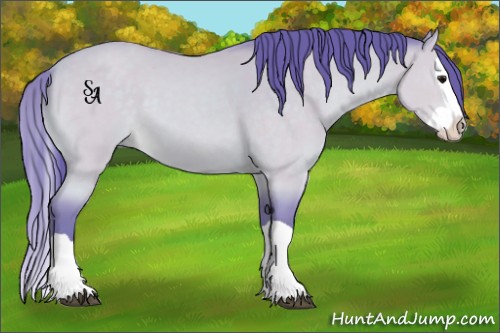 Horse Color:Watercolor Buckskin Splash 