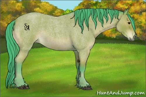 Horse Color:Watercolor Brown Roan Rabicano 