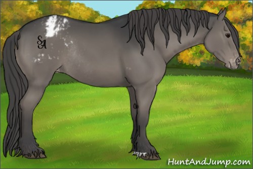 Horse Color:Grullo Varnish Rabicano