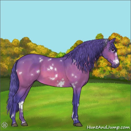 Horse Color:Watercolor White Spotted Brown Sabino
