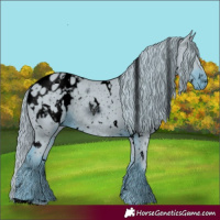 Horse Color:ERROR: UNKNOWN ANOMALY