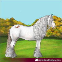 Horse Color:White Spotted Chestnut Varnish 
