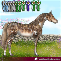 Horse Color:White Spotted Chocolate Palomino Dun Mushroom  and White Spotted Liver Chestnut 
