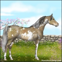 Horse Color:White Spotted Chocolate Palomino Dun 
