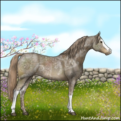 Horse Color:White Spotted Chocolate Palomino Ice 