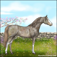 Horse Color:White Spotted Chocolate Palomino Ice 