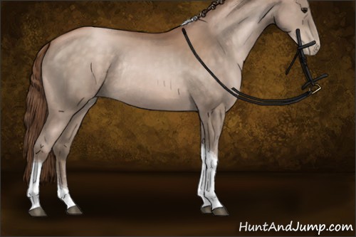 Horse Color:Brown Pearl Tobiano Rabicano
