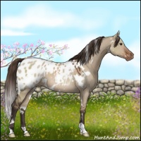 Horse Color:White Spotted Liver Red Dun Blanket 