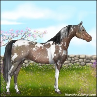 Horse Color:White Spotted Liver Chestnut Tobiano Snowflake Varnish 