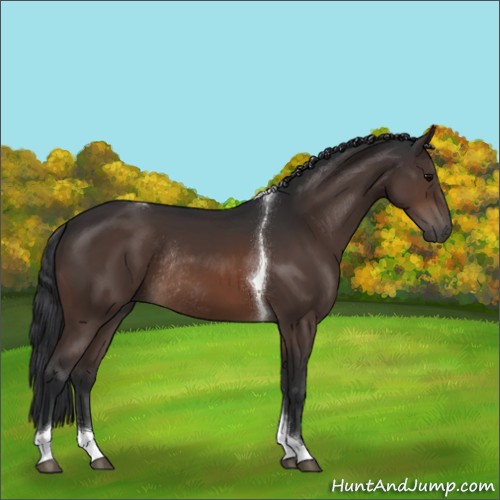 Horse Color:Brown Tobiano Rabicano 