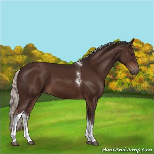 Horse Color:Silver Brown Tobiano 