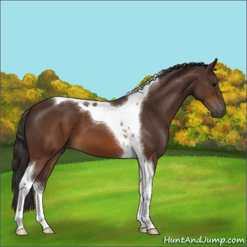 Horse Color:Buckskin Tobiano 