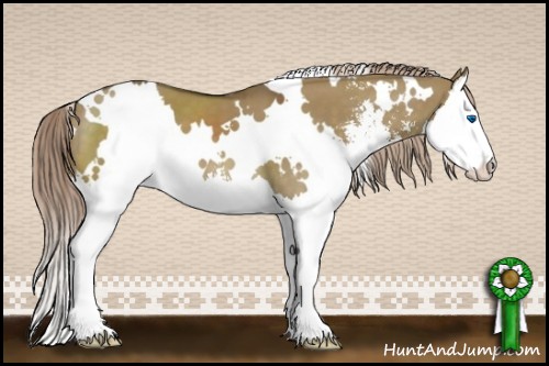 Horse Color:White Spotted Chocolate Palomino Dun Sabino Splash