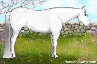 Horse Color:White Spotted Chocolate Blue Onyx Sabino Appaloosa 