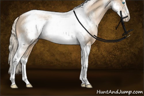 Horse Color:Chocolate Palomino Pearl Sabino Tobiano Frame