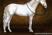 Horse Color:Chocolate Palomino Pearl Sabino Tobiano Frame