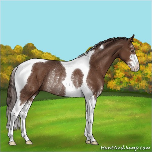 Horse Color:Liver Chestnut Sabino Tobiano Rabicano