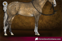 Horse Color:Silver Buckskin Dun Sabino Tobiano Rabicano and Buckskin Dun Sabino Tobiano Rabicano