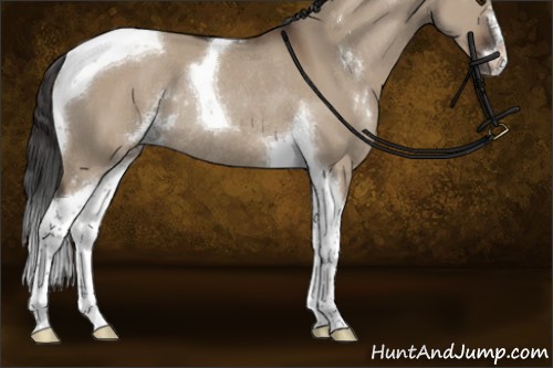 Horse Color:Liver Red Dun Sabino Tobiano Rabicano 
