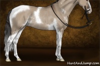 Horse Color:Liver Red Dun Sabino Tobiano Rabicano 