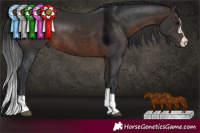 Horse Color:Brown 