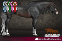 Horse Color:Brown 
