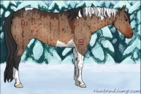 Horse Color:Brown Dun Tobiano Brindle 