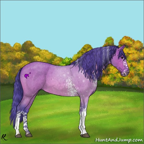 Horse Color:Watercolor White Spotted Bay Roan Dun 