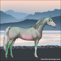 Horse Color:Watercolor Silver Bay