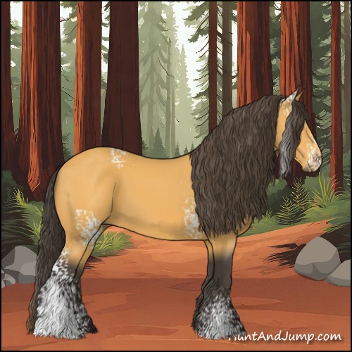 Horse Color:White Spotted Buckskin