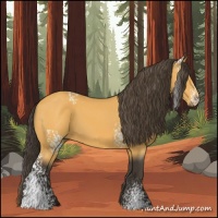 Horse Color:White Spotted Buckskin 