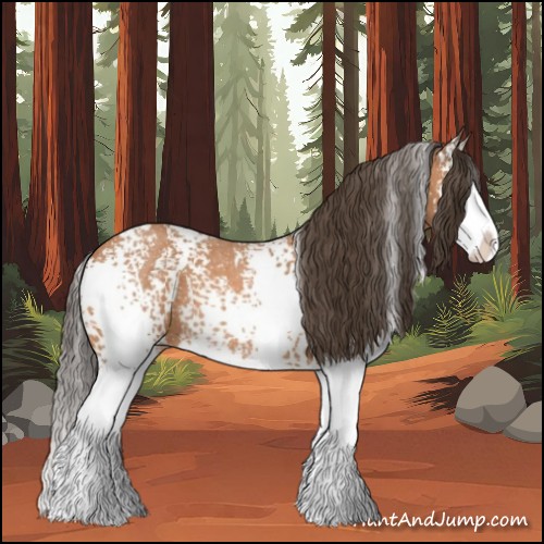 Horse Color:White Spotted Bay Roan Splash Appaloosa 