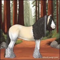 Horse Color:White Spotted Buckskin Dun Splash