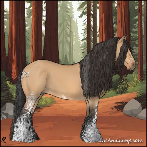 Horse Color:White Spotted Bay Dun