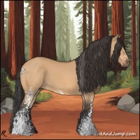 Horse Color:White Spotted Bay Dun 