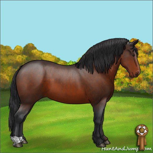 Horse Color:Brown 