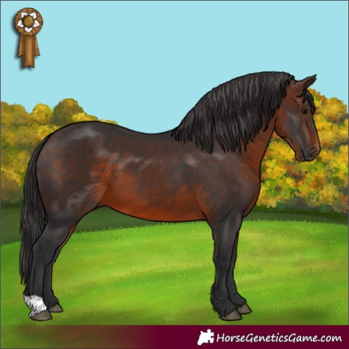 Horse Color:Brown 