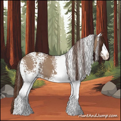 Horse Color:White Spotted Liver Red Dun 