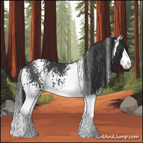 Horse Color:White Spotted Black Splash